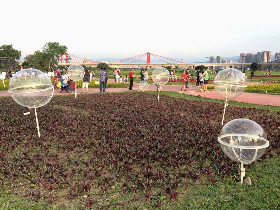 江翠礫間水岸公園 攝影：Eva隨手拍
