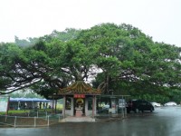 集福宮<br/> 攝影：Eva隨手拍