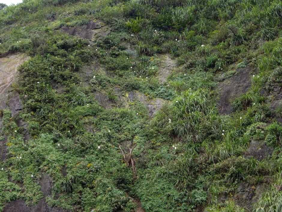 山壁 攝影：老山羊部落格