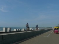 新屋綠色走廊自行車道<br/> 攝影：Eva隨手拍
