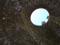 海濱公園(國際地標)<br/> 攝影：Eva隨手拍