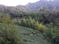 石壁風景區<br/> 攝影：Eva隨手拍