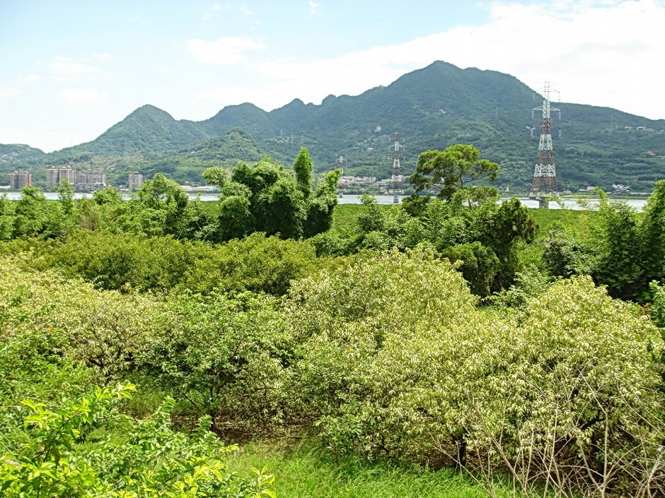 觀音山 攝影：陳美吟
