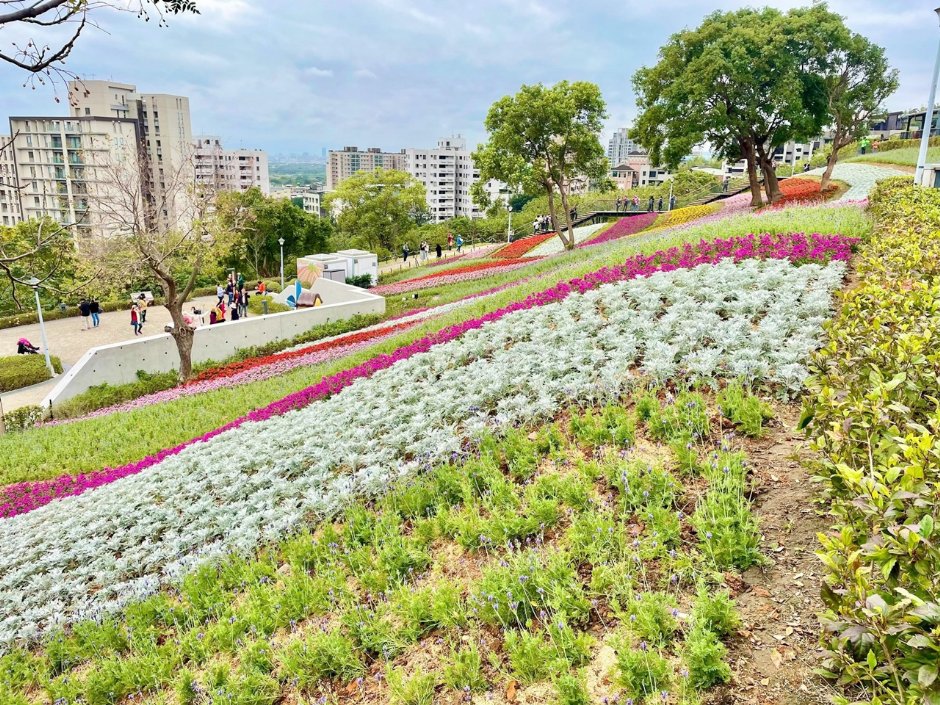 北投社三層崎公園大片花海被譽為台版富良野 攝影：Eva隨手拍