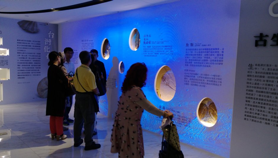 館內一景 攝影：侏羅紀博物館