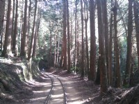 特富野古道<br/> 攝影：Lu