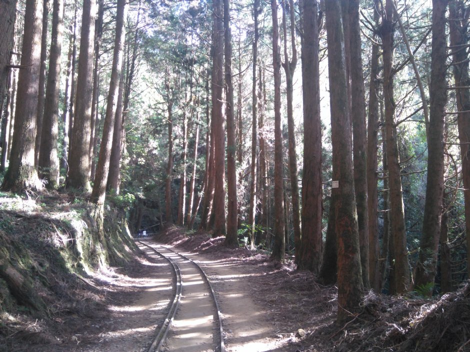 特富野古道 攝影：Lu