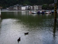 幽靜的潭景<br/> 攝影：老山羊部落格