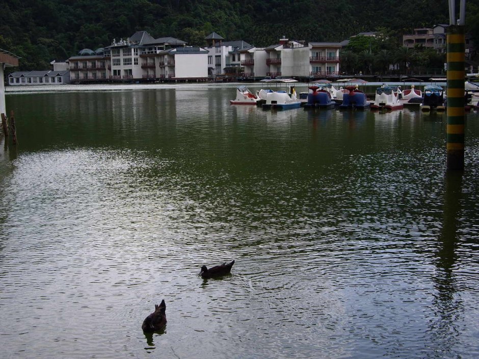 幽靜的潭景 攝影：老山羊部落格