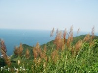 觀景台暸望海岸線<br/> 攝影：Eva隨手拍