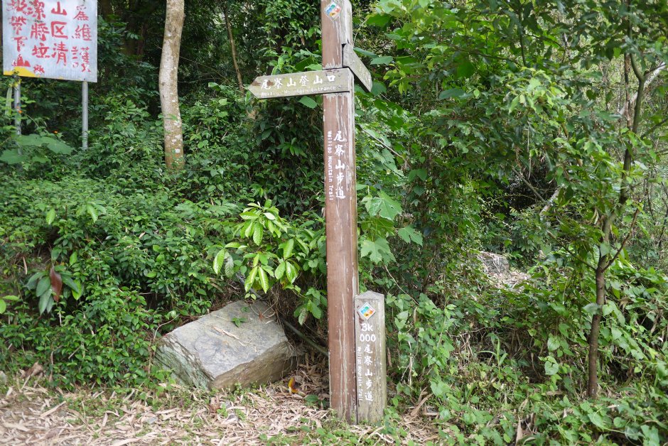 尾寮山步道 攝影：旅遊王攝影組
