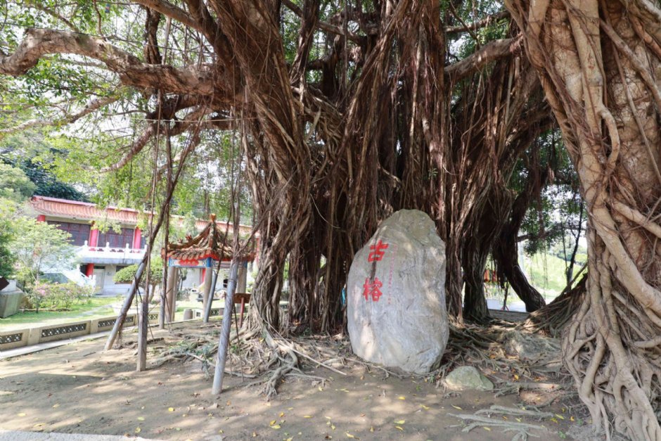 虎山岩遊憩區 攝影：圖片來源_參山處