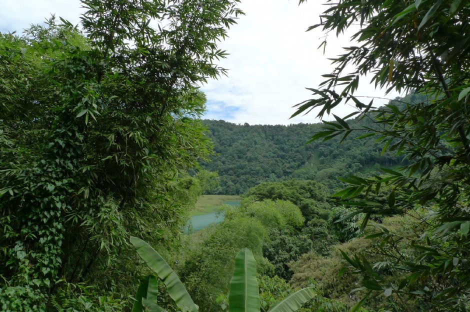 走在水蛙頭步道即可見大竹湖景觀 攝影：Eva隨手拍