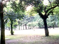 竹山遊憩公園<br/> 攝影：南投縣政府