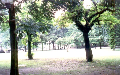竹山遊憩公園 攝影：南投縣政府
