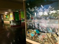 紅樹林生態教育館<br/> 攝影：紅樹林生態教育館 提供