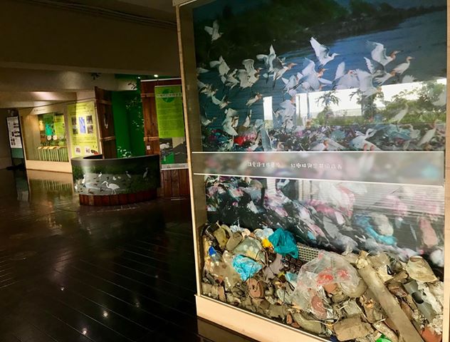 紅樹林生態教育館 攝影：紅樹林生態教育館 提供