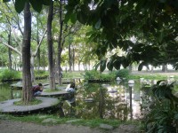 大東濕地公園<br/> 攝影：旅遊王攝影組