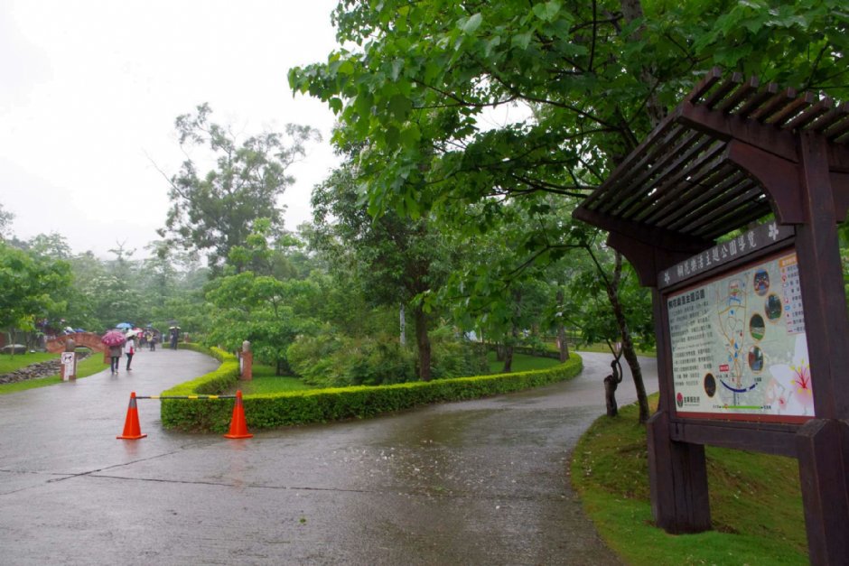 桐花樂活公園 攝影：Eva隨手拍