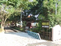 東豐自行車綠廊<br/> 攝影：Lu