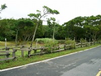 公園周邊景觀<br/> 攝影：Eva隨手拍