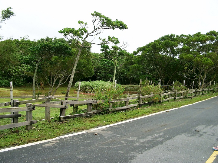 公園周邊景觀 攝影：Eva隨手拍