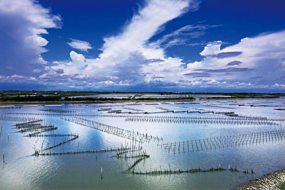 七股潟湖 攝影：照片來源_雲嘉南濱海國家風景區管理處