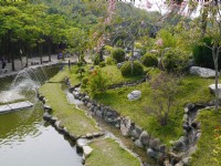 台灣島<br/> 攝影：三井