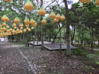 荷苞山登山步道