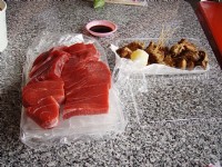 好吃的黑鮪魚<br/> 攝影：鄭惠文