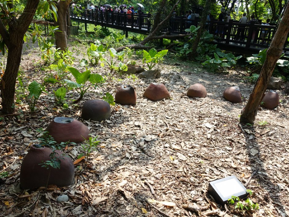關渡自然公園 攝影：meiyin
