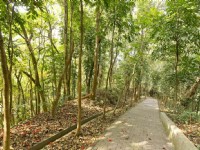 虎形山公園<br/> 攝影：照片來源_台南市觀旅局