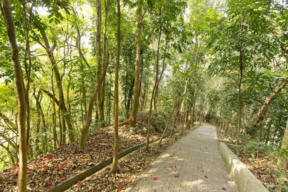 虎形山公園 攝影：照片來源_台南市觀旅局
