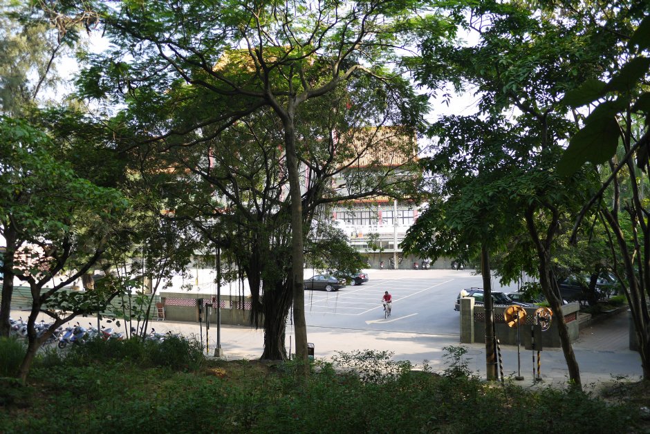 金獅湖風景區保安宮後院 攝影：三井
