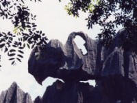 石林-11<br/> 攝影：台灣中國旅行社