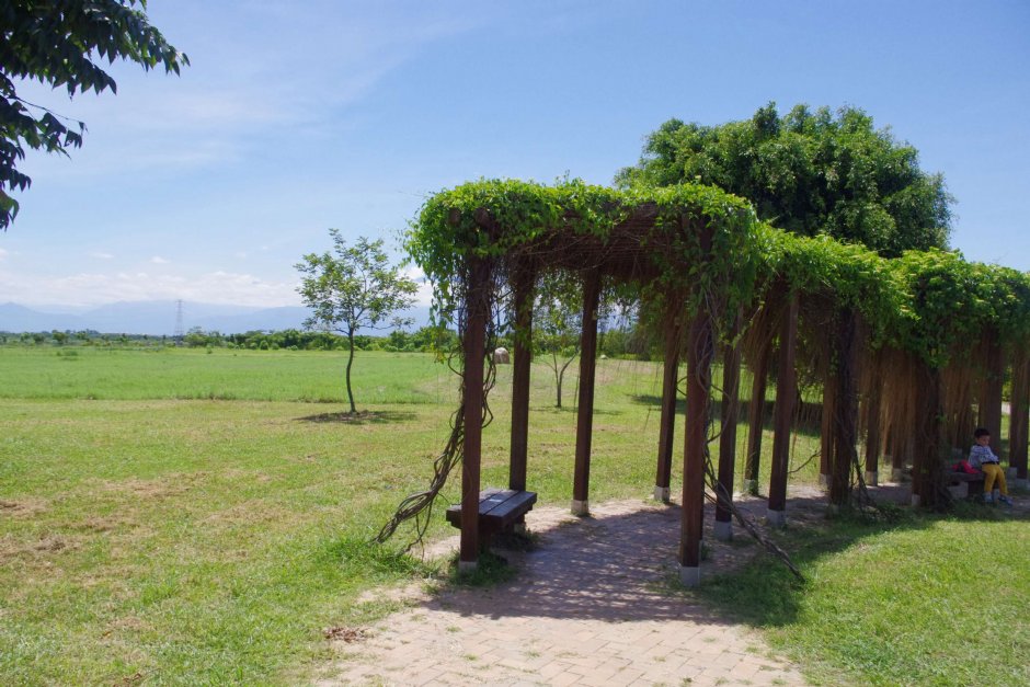 舊鐵橋濕地生態公園01407攝 攝影：Eva隨手拍
