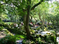 公園內-乘涼人潮<br/> 攝影：老山羊部落格