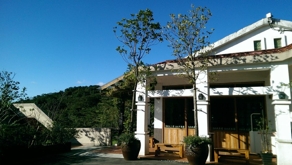 台北找茶園 攝影：Eva隨手拍