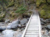 過溪木橋<br/> 攝影：老山羊資訊網