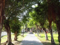 白燈塔公園<br/> 攝影：資料來源 / 花蓮綠活小旅行