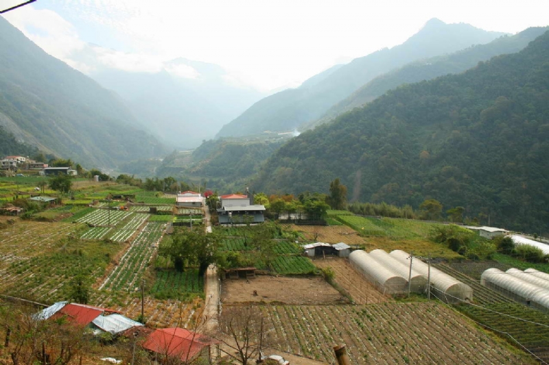 週邊田園 攝影：老山羊部落格