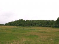 社頂自然公園<br/> 攝影：Eva隨手拍