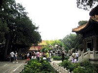 御花園秀麗景觀<br/> 攝影：方盛文