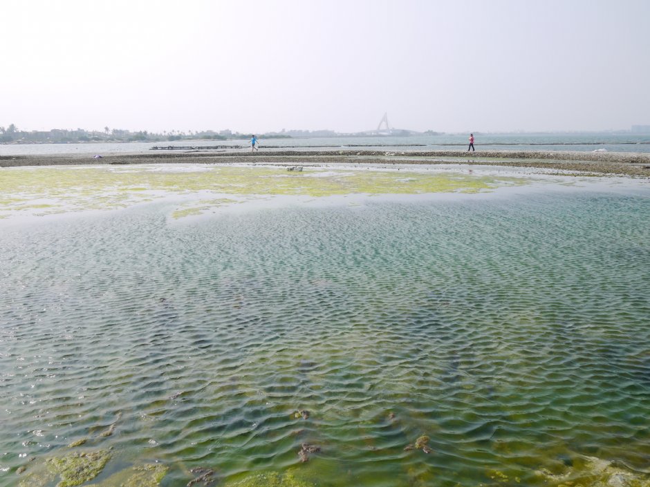 大鵬灣蚵殼島 攝影：三井