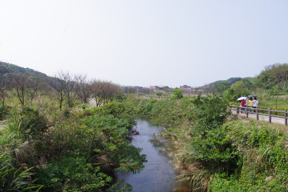 大坑溪三生步道 攝影：Eva隨手拍