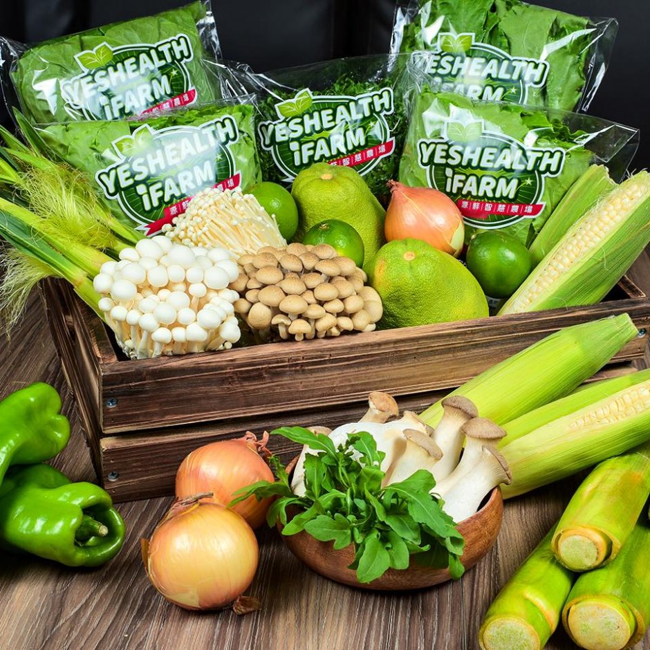 蔬菜商品 攝影：源鮮智慧農場
