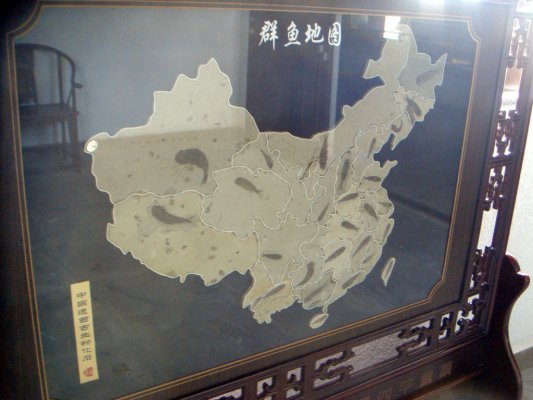 三亞自然博物館群魚地圖 攝影：宋文豪