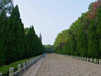 中山紀念林<br/> 攝影：Eva隨手拍