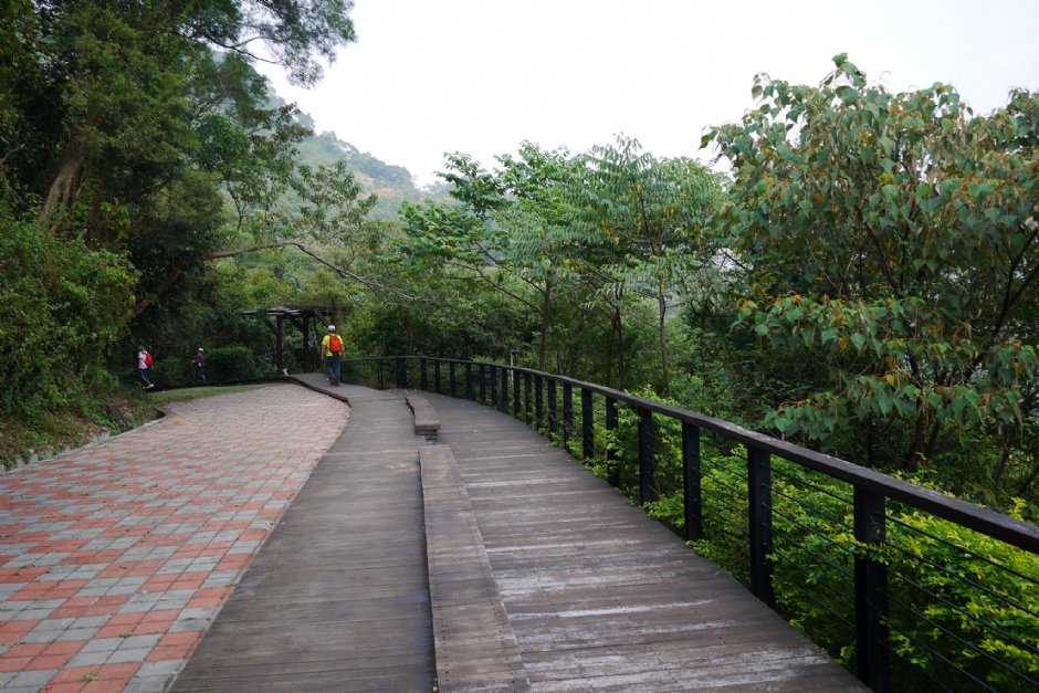 茂林紫蝶幽谷賞蝶步道 攝影：三個井