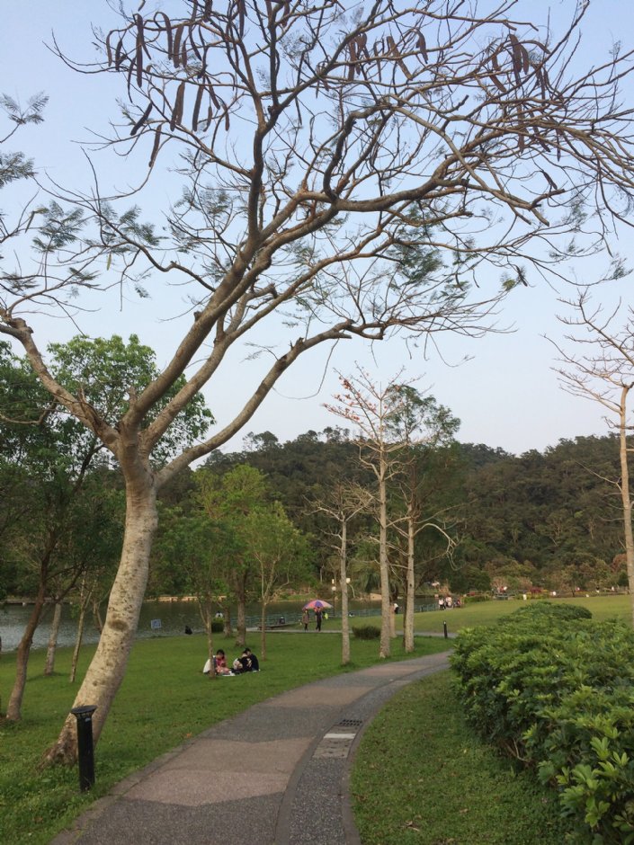 龍潭湖風景區 攝影：Eva隨手拍